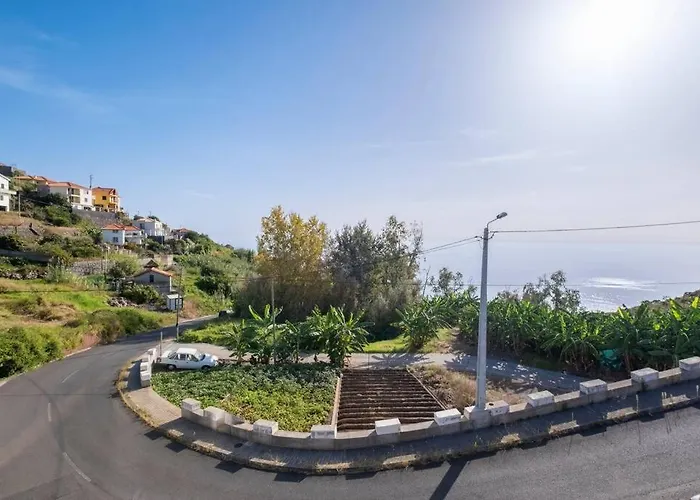 Willa Yuri Big House